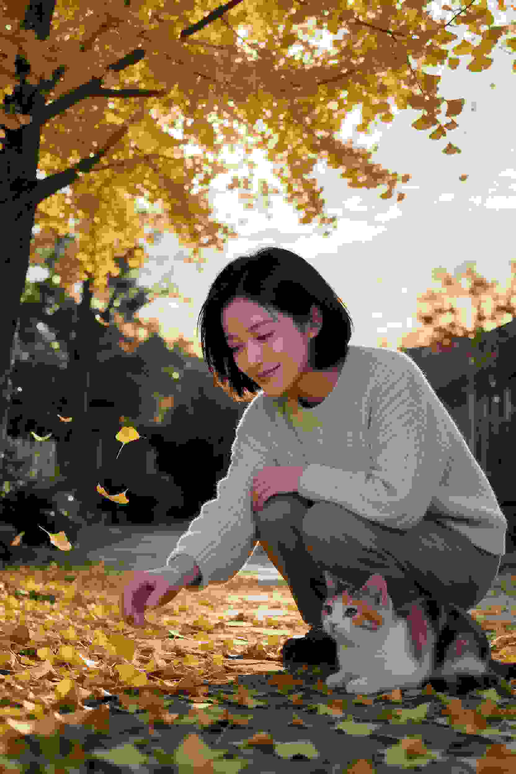天朝秘闻